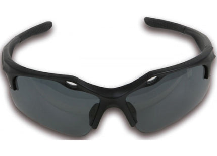 BETA  7076BD OCCHIALI DI PROTEZIONE LENTI SCURE(A2024)