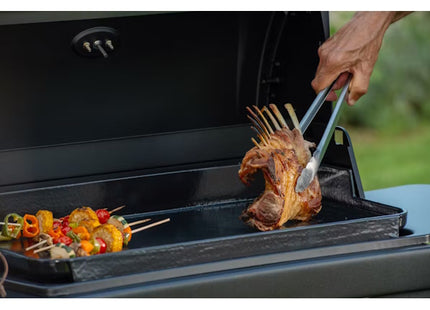 CAMPINGAZ BARBECUE A GAS MOD. PLANCHA EX3