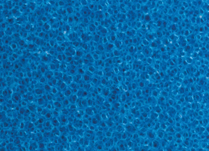 RUPES TAMPONE IN SPUGNA COARSE BLU D.MM155/160 CONF.DA PZ1