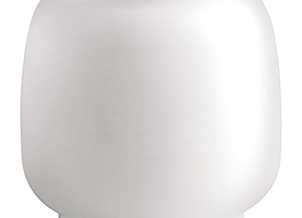 CAMPINGAZ VETRO SFERICO DI RICAMBIO PER LANTERNE MISURA M