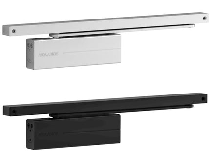 ASSA ABLOY CHIUDIPORTA AEREO SERIE DC175 ARGENTO EV1