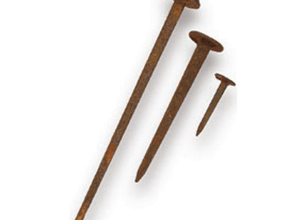 METAL STYLE CHIODI BRACCHI MM60 DIAMETRO TESTA MM11 PZ50