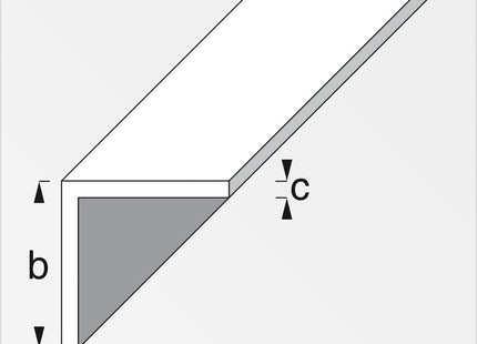 ALFER ANGOLARE LATI UGUALI ALLUMINIO ANODIZZATO ARGENTO MM10X10X1 MT1