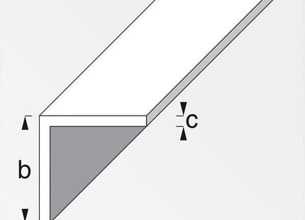 ALFER ANGOLARE LATI UGUALI ALLUMINIO EFFETTO INOX MM20X20X1 MT1