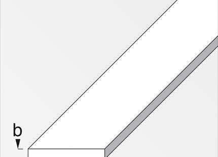 ALFER BARRA PIATTA ALLUMINIO ANODIZZATO ARGENTO MM30X2 MT2