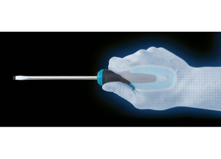 HAZET SERIE DI 6 GIRAVITI A TAGLIO E A CROCE PHILLIPS ART.810/6*