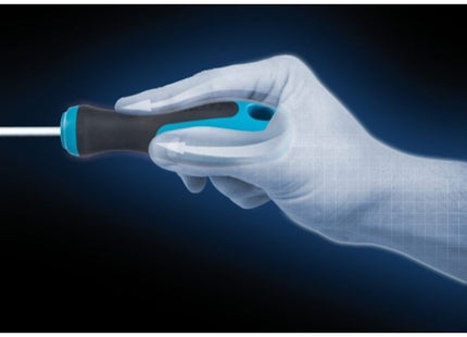 HAZET SERIE DI 6 GIRAVITI A TAGLIO E A CROCE PHILLIPS ART.810/6*