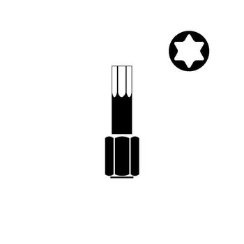 UTENSILERIA - INSERTI E PORTAINSERTI BITS - INSERTI TORX XZN SPANNER RIBE