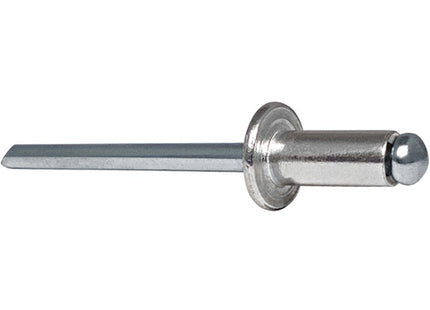 RIVIT RIVETTI IN LEGA DI ALLUMINIO A TESTA CILINDRICA D.MM4,8X45