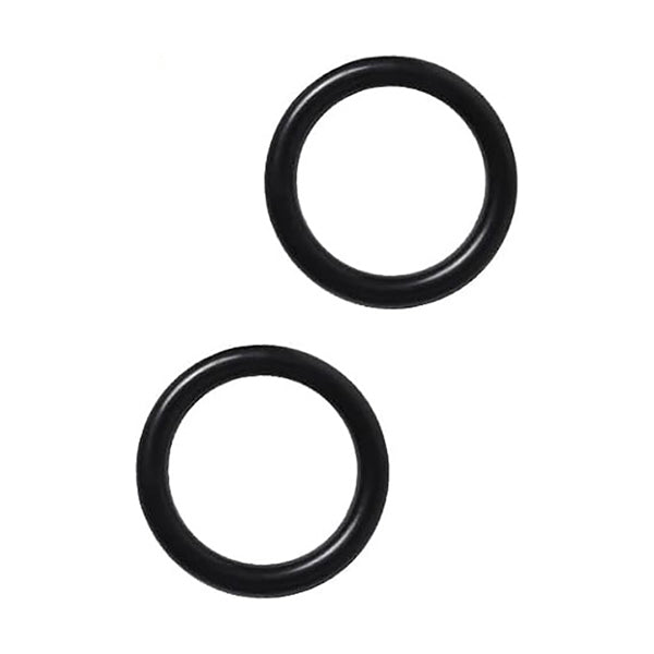 BETA  1756C-2OR COPPIA DI O-RING PER SIRINGHE 1756C