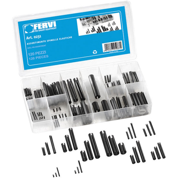 FERVI ASSORTIMENTO DI SPINE ELASTICHE TOTALE PZ120