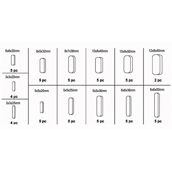 FERVI ASSORTIMENTO DI CHIAVETTE PARALLELE TOTALE PZ60