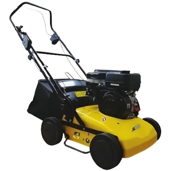 ROQUES ET LECOEUR ARIEGGIATORE A SCOPPIO RL 301