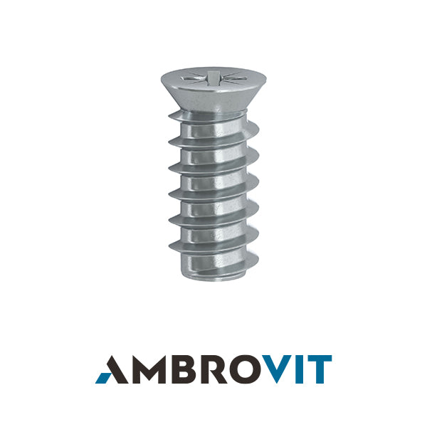 AMBROVIT VITE EURO A TESTA SVASATA PIANA PZ2 ZINCATA BIANCA D.MM6,3X11