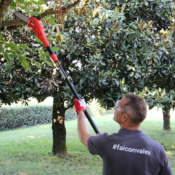 VALEX POTATORE TELESCOPICO ELETTRICO ET301 750W