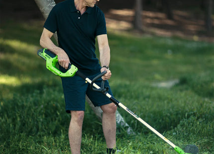 2101507 GREENWORKS DECESPUGLIATORE 1.jpg