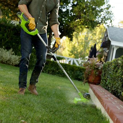 2101507 GREENWORKS DECESPUGLIATORE 2.jpg