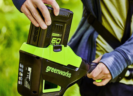 GREENWORKS BATTERIA G60B2 60V 2AH