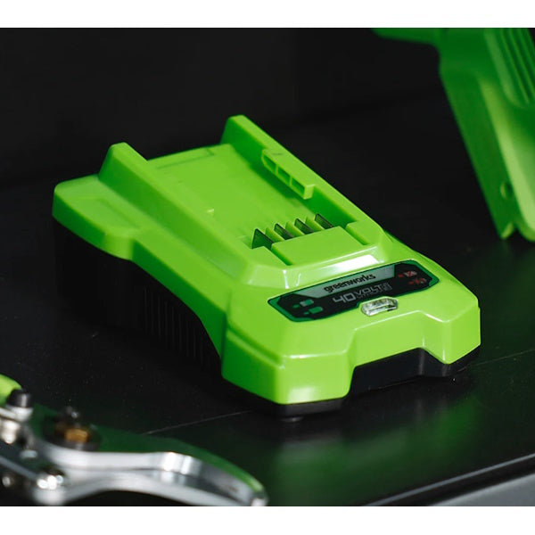 GREENWORKS CARICABATTERIA G40C 40V