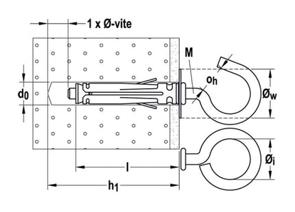 504471 DISEGNO FISCHER - RENAUDO.jpg