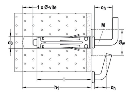 504478 DISEGNO FISCHER - RENAUDO.jpg