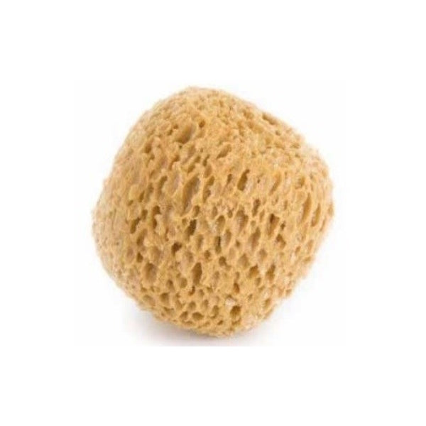 GAMMA PENNELLI SPUGNA SINTETICA A FORMA TONDA ART.629