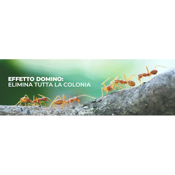 ORMA SQUASH FORMICHE INSETTICIDA IN GEL ANTIFORMICHE IN SIRINGA GR10