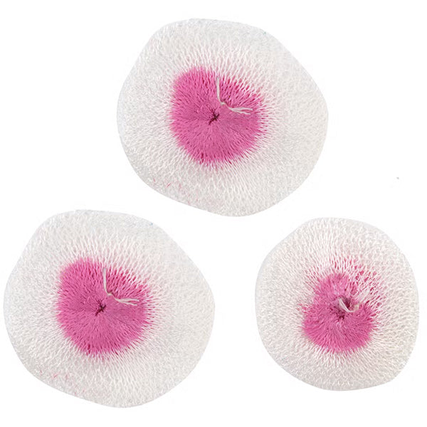 CAMPINGAZ RETICELLE S PER LANTERNE A GAS CONF.DA PZ3