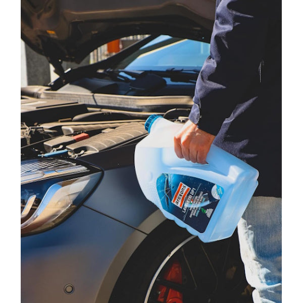 AREXONS LAVAVETRI DP1 PRONTO USO ESTATE LT4,5