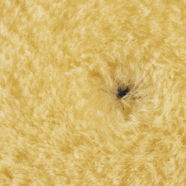 RUPES TAMPONE IN LANA GIALLA MEDIUM D.MM150/170 CONF.DA PZ1