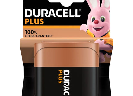 BATTERIE PLUS MN1203 PIATTA DURACELL - RENAUDO.jpg