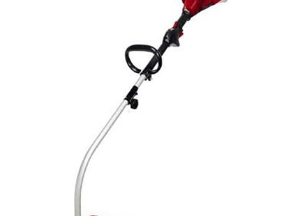 EINHELL DECESPUGLIATORE A SCOPPIO GC-PT 2538/1 I AS*