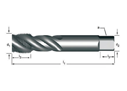 E789 MASCHIO MACCHINA DIS DORMER -  RENAUDO.jpg