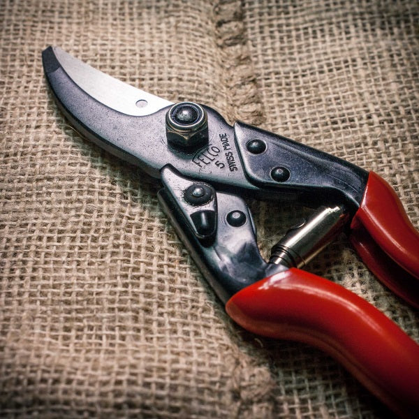 FELCO FORBICE PER POTATURA MOD. F  5 DA MM225