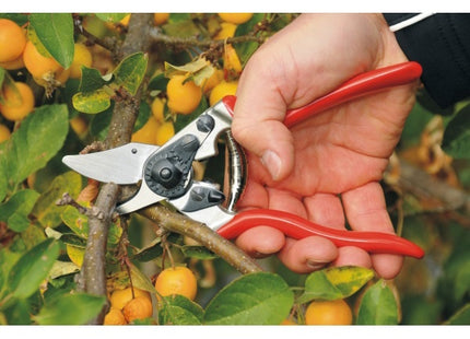 FELCO FORBICE PER POTATURA MOD. F  6 DA MM195 + COLTELLINO SWISS*