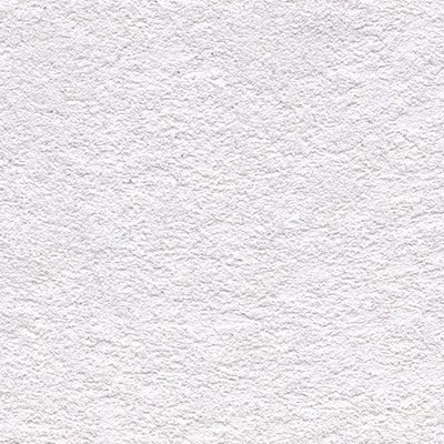 SAN MARCO FONTEGO ARGENTO FINITURA DECORATIVA PER INTERNI EFFETTO OPACO