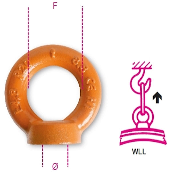 ROBUR BLISTER GOLFARI PER SOLLEVAMENTO FEMMINA A.R. ART.8043-K