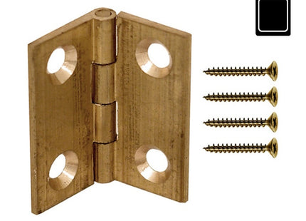 SODIFER CERNIERE A LIBRO ALI PIANE IN OTTONE MM50X40 BLISTER PZ2