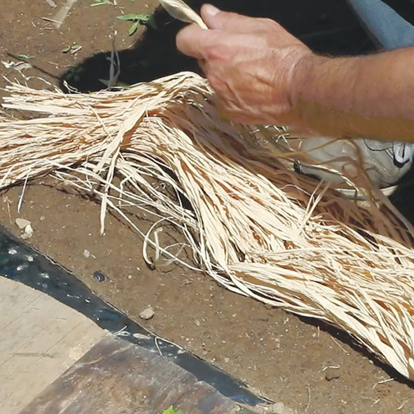 TENAX RAFIA NATURALE IN CONF.DA GR80