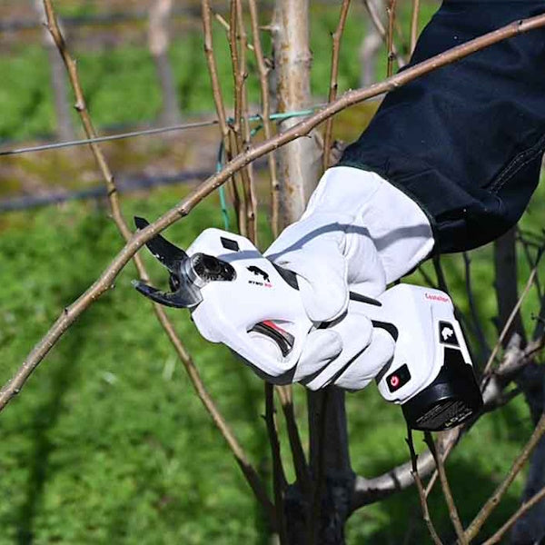 CASTELLARI FORBICE ELETTRICA PER POTATURA A BATTERIA RYNO 40 14,4V 2,5AH