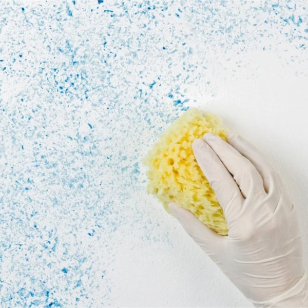 GAMMA PENNELLI SPUGNA SINTETICA A FORMA TONDA ART.629