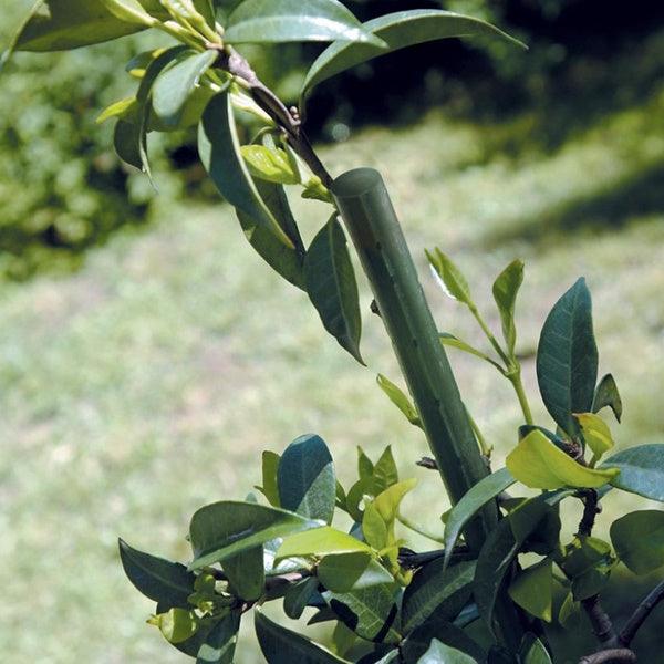 TENAX SOSTEGNO TUTORE PER PIANTE IN FERRO PLASTIFICATO VERDE STEEL UP