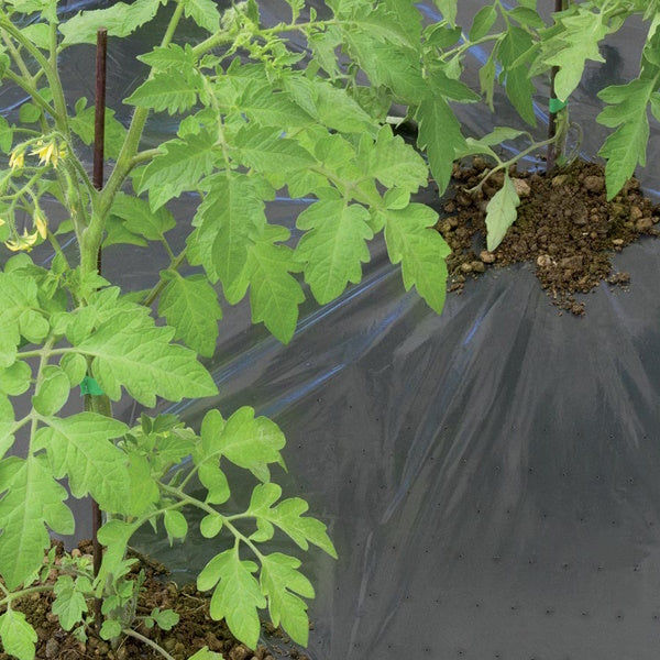 TENAX FILM MICROFORATO PER ORTAGGI IN PE NERO ART. DOT COVER MT1,5X5