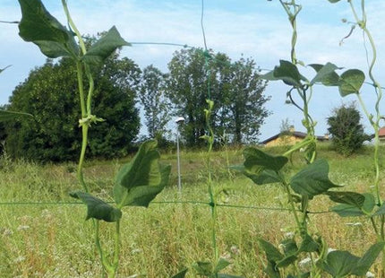 TENAX RETE FLORA PER RAMPICANTI E TUTORI VERDE IN CONF.DA MT1,5X10