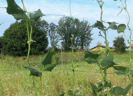 TENAX RETE FLORA PER RAMPICANTI E TUTORI COLORE VERDE