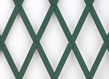 TENAX TRALICCIO ESTENSIBILE PER RAMPICANTI TREPLAS VERDE MT1,0X3