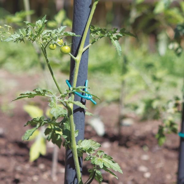 TENAX TUBETTO AGRICOLO IN PVC LEGACCIO PER PIANTE D.MM3 GR250