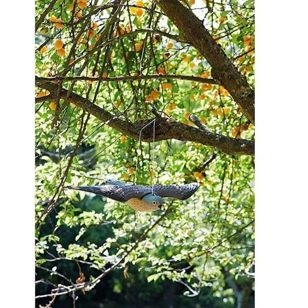 VERDEMAX FALCO DISSUASORE PER VOLATILI