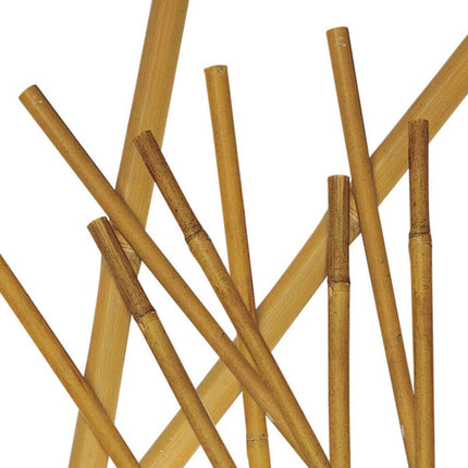 VERDELOOK CANNA DI BAMBOO ALTEZZA CM150 D.MM20-22