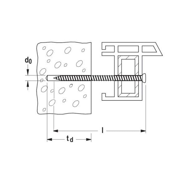 FISCHER VITE PER MURO FFS TESTA PIANA TX30